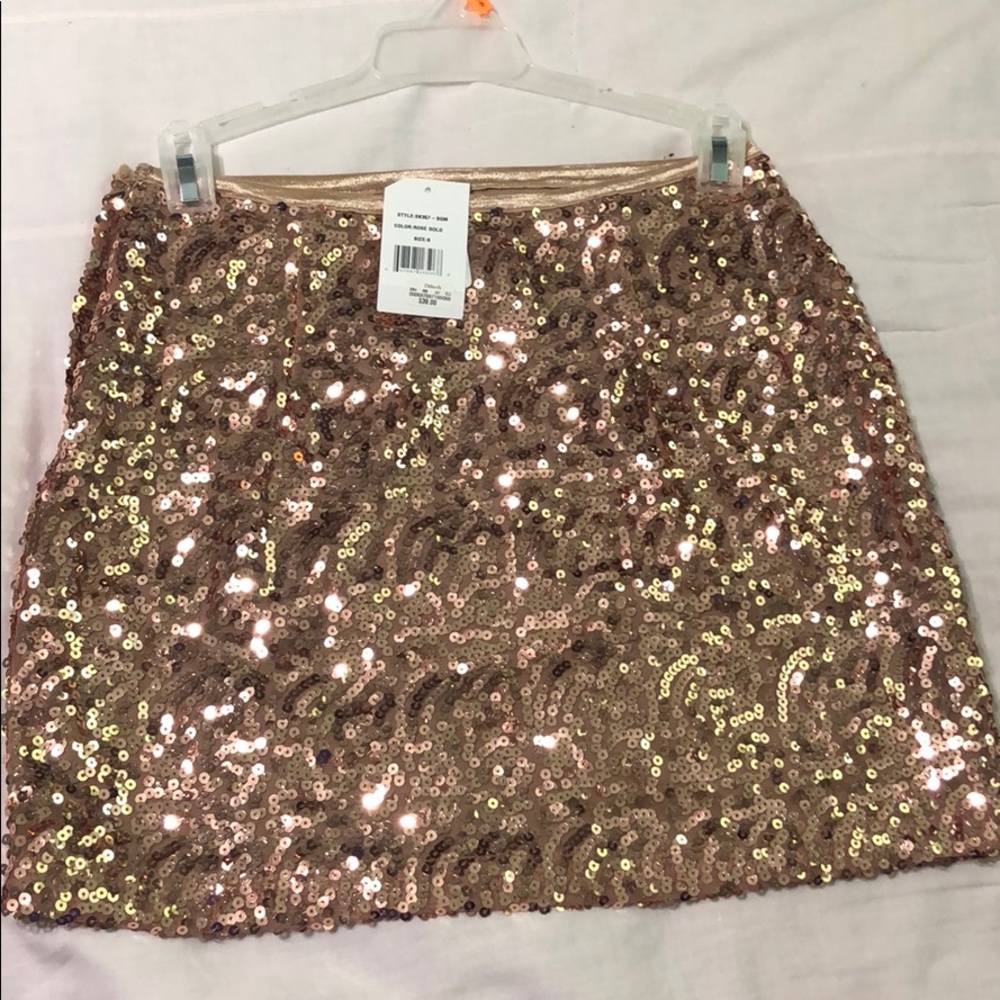 Sequin skirt! Never worn
